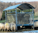 Für die Viereckraufe gibt es jetzt ein Fressgitter für gehörnte, kleine Wiederkäuer.