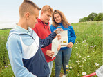 Rebhühner entdeckten die Schüler der Gemeinschaftsschule Bondorf/Gäufelden während der Feldexkursion nicht. Sie fanden jedoch allerhand Insekten, die Rebhuhnküken als Nahrung dienen. Außerdem lernten sie die Pflanzen der Blühflächen kennen.