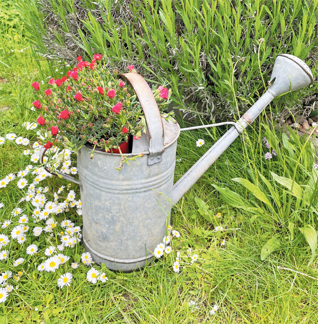 Wer seinen Garten klug anlegt, kann seine Gießkanne einmotten oder wie hier zu sehen bepflanzen.