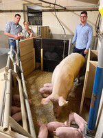 Familie Wilhelm aus Mulfingen testet Umbaumaßnahmen für mehr Tierwohl genau aus und schaut, wie die Tiere das annehmen.