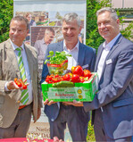(v. l.) Landwirtschaftsminister Peter Hauk mit den Vertretern der Reichenau-Gemüse eG, Christian Müller und Johannes Bliestle. Foto: Reichenau-Gemüse/Mende