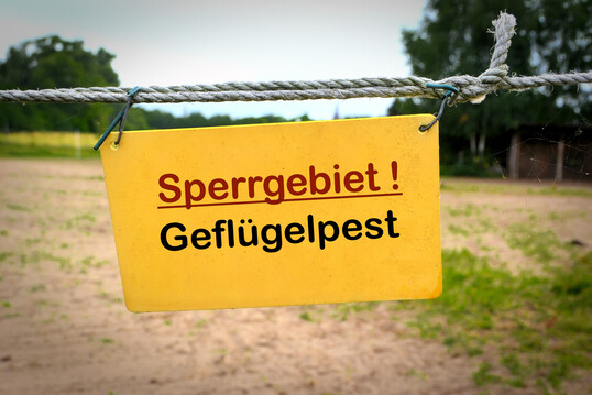 Grundsätzlich müssen alle Tierhalter – auch Hobbygeflügelhalter – Maßnahmen zum Schutz vor biologischen Gefahren ergreifen.