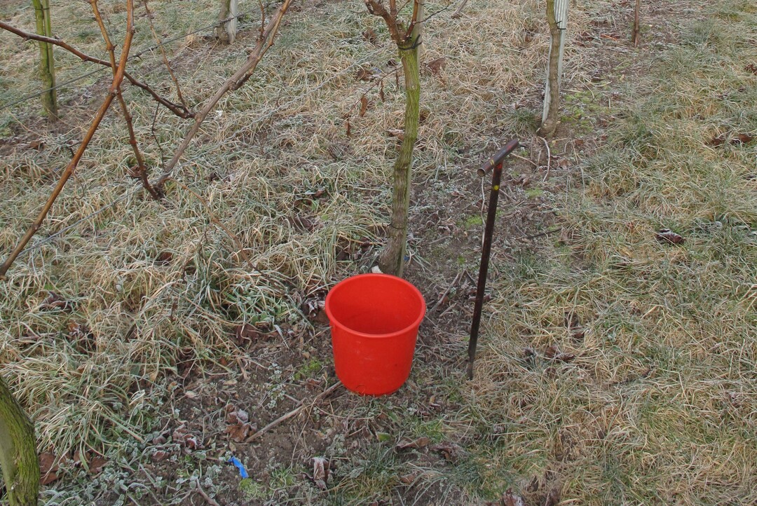 Bis zum 31. Dezember mssen die erforderlichen Bodenuntersuchungen erledigt sein.