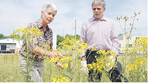 Landestierschutzbeauftragte Dr. Cornelie Jäger und LBV-Vizepräsident Gerhard Glaser zeigen die Erkennungsmerkmale von Jakobskreuzkraut.