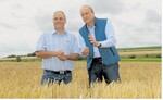 Joachim Rukwied (r.) und Rüdiger Beck erklären die Folgen von Trockenheit und Hitze fürs Getreide.