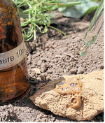 Eine zehnprozentige Salzsäure-Lösung dient zum Kalknachweis im Boden.