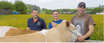 Steffen Hofmann aus Boxberg-Schwabhausen (l.), Willi Weber aus Boxberg und Karsten Kappes (r.) aus Bobstadt sind Milchviehhalter. Für alle drei spielt die Öffentlichkeitsarbeit eine große Rolle. Ihnen ist das Tierwohl ein wichtiges Anliegen, das sollen auch die Verbraucher erfahren.