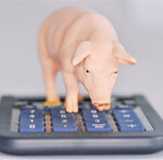 Bei einem geringeren Pauschalsteuersatz würden sich zum Beispiel die Einnahmen für einen Mäster, der pro Woche 50 Schweine verkauft, um 45 Euro verringern.