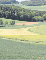 Auch Landwirte legen Vermögen in Grund und Boden an. Unterschiede in den Preisen zu nicht-landwirtschaftlichen Käufern bestanden im vergangenen Jahr nicht mehr.