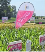 Mit der IG Mais schafft die IG Pflanzenzucht eine eigene Geschäftseinheit und forciert den Maisvertrieb.