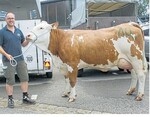 Die Jungkuh mit dem höchsten Tagesgemelk von der Winterhalder GbR, VS-Tannheim, wurde für 1800 Euro verkauft.