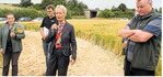 Staatssekretärin Friedlinde Gurr-Hirsch bei der Versuchsfeldbegehung im Landesprojekt Konservierender Ackerbau" in Großrindenfeld. Anwesend waren auch (v. l.) Professor Dr. Carola Pekrun (HfWU Nürtingen-Geislingen), Projektbetreuer Stefan Pilz und Landwirt Helmut Banzer.