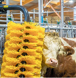 Die mechanische Schwingbürste benötigt keinen Strom, sondern funktioniert allein über die Eigenbewegung des Tieres.