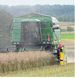 Raps und Sommergerste liefern teils niedrige Erträge im Land. Wer kann, lagert die Ware ein und hofft auf später steigende Preise.