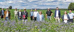 Großes Interesse am Beitrag der Landwirtschaft zum Artenschutz mit Blühstreifen. Von links: Rainer Oppermann (Institut für Agrarökologie und Biodiversität Mannheim), Landrat Dr. Wolf-Rüdiger Michel, Otmar Riedmüller (Kreisjägermeister Rottweil), Katharina Hügel (RP Freiburg), Klaus Mastel (RP Freiburg), Hans Klaiber (Landwirtschaftsamt Rottweil), Uwe Götz (Modellbetrieb Biodiversität Königsfeld), MdL Martina Braun, Manfred Haas (Ortsvorsteher Flözlingen/Vorsitzender Kreisbauernverband/Modellbetrieb Biodiversität), MdL Daniel Karrais, Regierungspräsidentin Bärbel Schäfer, Karl-Heinz Zimmer (stellvertretender Bürgermeister Zimmern o. R.).