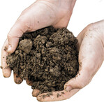 Auch Biostimulanzien brauchen eine günstige Bodenstruktur.