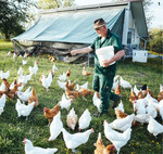 Thomas Schumacher hält Coffee und Cream-Hühner der ÖTZ.
