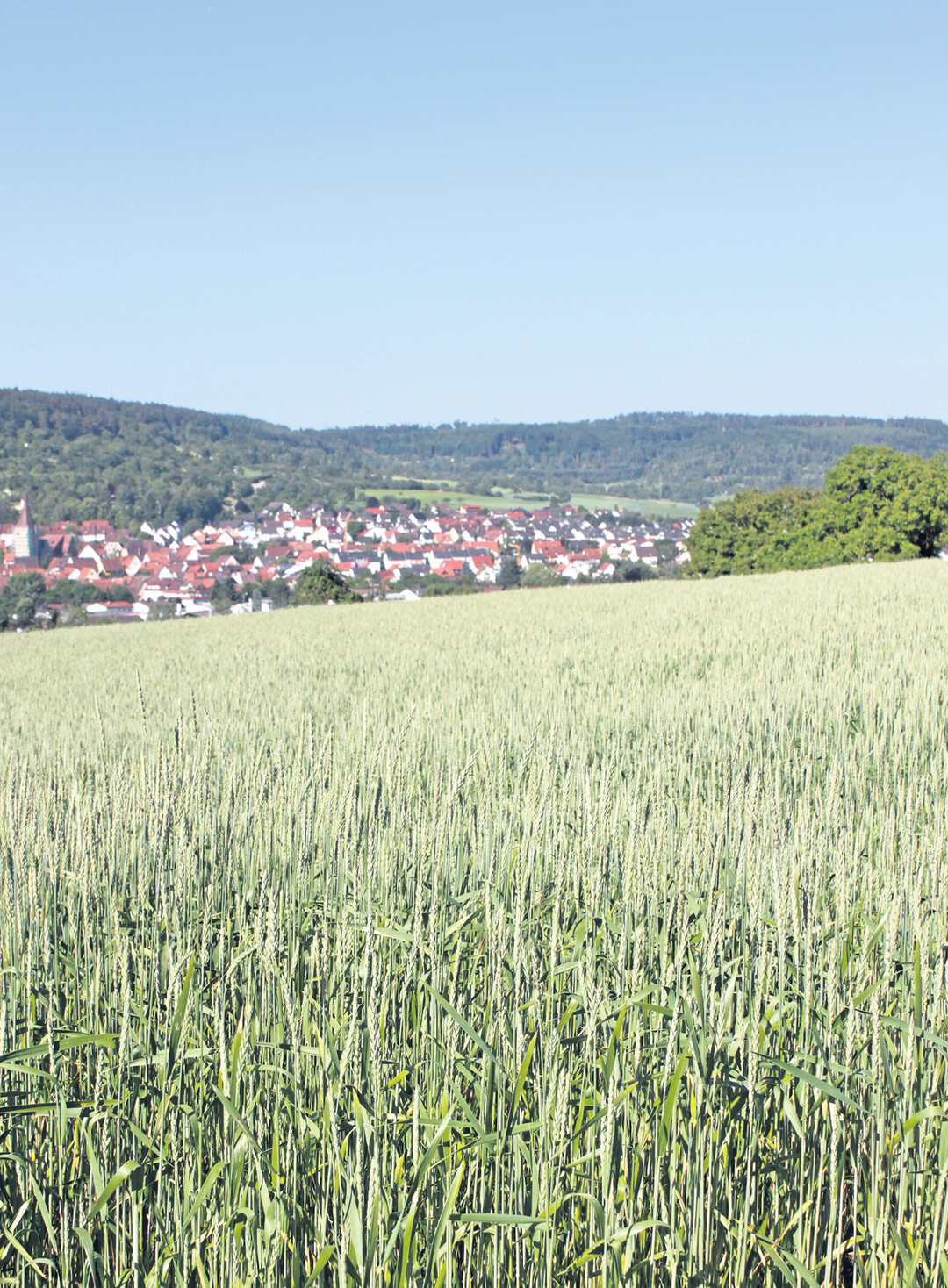 Kulturlandschaft bei Merklingen (Landkreis Böblingen)