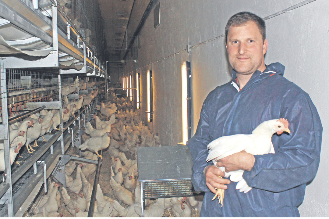 Benedikt Senn hält insgesamt 44.000 Hühner, verteilt auf vier Stallanlagen. Produziert werden die Eier konventionell mit Bodenhaltung. Gefüttert wird GVO-frei, selbst gemischte Rationen, aus eigenem Getreide sowie zugekaufter Körnermais und Soja aus Baden-Württemberg. Verkauft werden die Eier in der Region an Direktvermarkter, Bäckereien, Hotels und Gaststätten sowie an den Lebensmitteleinzelhandel.