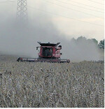 Die Erntezeit erfordert von der Technik Höchstleistungen. Hohe Temperaturen, starke Staubentwicklung, Ernterückstände in der Maschine sowie elektrische oder mechanische Defekte können zur Entstehung eines Brandes beitragen.