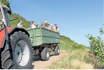Hoch auf den grünen Wagen hieß es bei der Felderrundfahrt in Schützingen, die der Bezirksarbeitskreis Vaihingen-Mühlacker im Anschluss an den Erntebittgottesdienst auf dem Hof der Familie Conradt organisiert hatte.