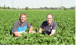 Werner Back (links) baut schon seit einigen Jahren Soja im Vertragsanbau für die Freiburger Firma Taifun an. Peter Froschhammer von Taifun berät ihn in allen Fragen des Anbaus. Mit den diesjährigen Beständen sind beide sehr zufrieden.