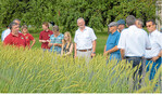 Landwirt Bernd Lauer (l.) zeigt Alois Gerig (Mitte) und Minister Peter Hauk (r.) einen Bestand des Bauländer Spelz.