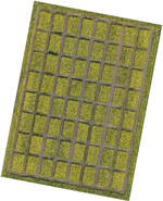 Drohnenaufnahme eines Rapsfelds.