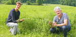 Im Anbau von Leguminosen wie der Luzerne sehen Philip Köhler (l.) und Wilhelm Wurth vom LAZBW Aulendorf eine Möglichkeit, Futterlücken bei Trockenheit zu schließen.
