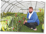 Johannes Henzler legt Versuche mit Chilipflanzen an.