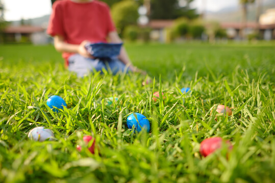 In Niedersachsen hat der Osterhase alle Pfoten voll zu tun.