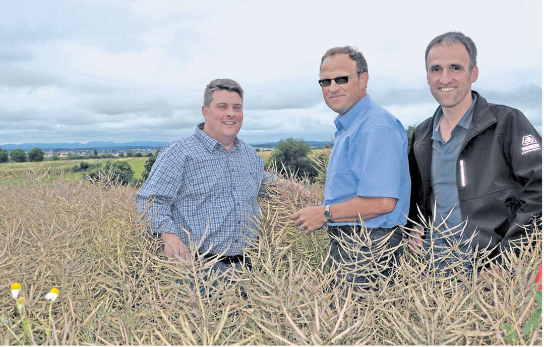 Landwirt Christoph Straub aus Horb sowie Manfred Fink (BASF-Berater für Landwirte in Baden-Württemberg) und Harald Walter, Beratungslandwirt für die Firma DuPont Pioneer (v. l.), sind mit der Entwicklung des CL-Rapses des Horber Landwirts zufrieden.