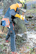 Bei der Holzernte sind ein Grundsortiment an Keilen und eine Axt unverzichtbar.