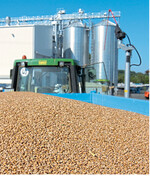 Gerste und Weizen bringen in Baden-Württemberg gute Erträge. Bei Raps, Mais und Soja sind die Erwartungen gedämpft.