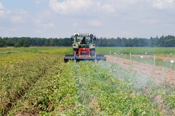 Die Wirkung des Abflammens ist in der linken Spur bereits nach zehn Minuten deutlich erkennbar. 