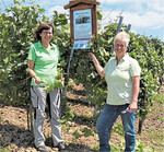 Die Landfrauen und Winzerinnen Manuela Hergesell (r.) und Ulrike Wanielik drehen Videos im Kinderweinberg, weil dieses Jahr Besuche der Schüler nicht erlaubt sind.