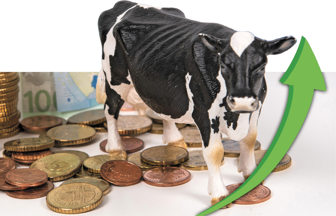 Im ersten Halbjahr 2022 erreichten die Erzeugerpreise neue Höchststände.