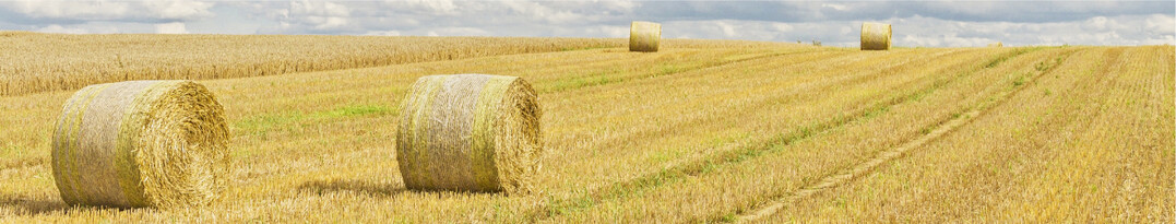 In den frühen Druschgebieten des Landes ist die Ernte abgeschlossen.