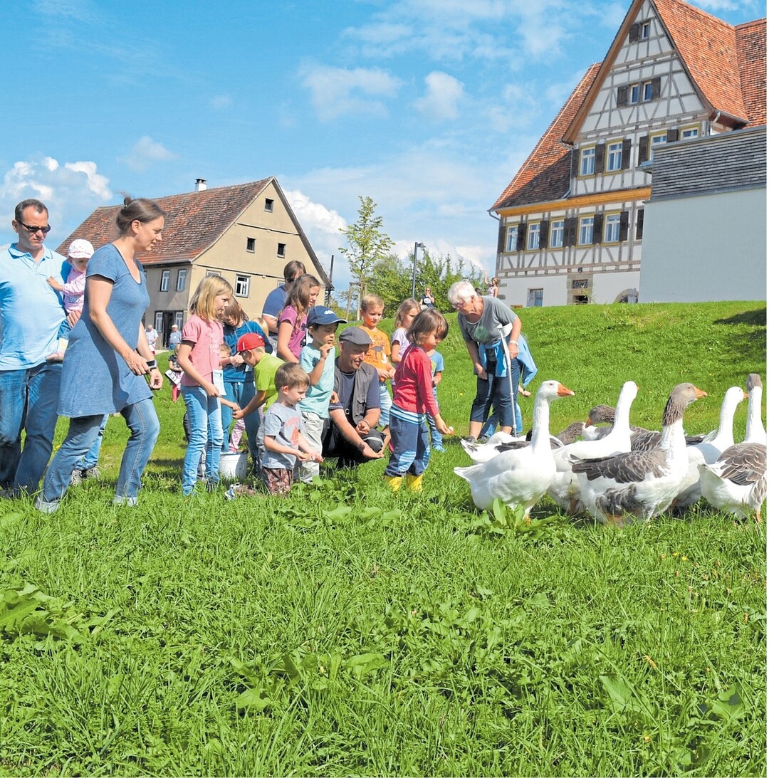 In den Sommerferien gibt es in den sieben Freilandmuseen im Sdwesten viele spannende Mitmachaktionen fr Kinder und Fhrungen fr Familien. Zu den meisten Aktionen kann man einfach kommen, teilweise ist Anmeldung erforderlich. Unter www.landmuseen.de finden Sie zu den einzelnen Museen und ihrem aktuellen Programm. Auch ber die gebhrenfreie Servicenummer 0800-76 87 336 knnen Sie sich informieren.