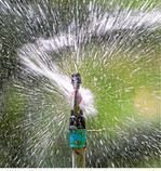 Landwirten wird geraten, bei der Versorgung von Jungpflanzen auf die öffentliche Wasserversorgung zurückzugreifen.