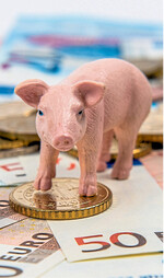 Aufgrund der höheren Ferkelpreise fallen die aktuellen Zu- und Abschläge etwas geringer aus als im vergangenen Jahr 2018.