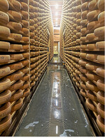 In den Reifekellern einer Comté-Käserei lagern gewaltige Werte.