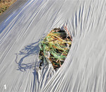 Silage gilt als Hauptverursacher von Botulismus. Qualität ist hier das A und O.