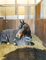 Weniger Einstreu durch Belmondo Gummimatten.