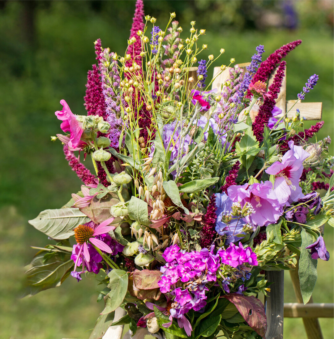 Die Slowflower-Bewegung Seit 2019 gibt es eine neue Bewegung. Die Slowflowers regional, saisonal, nachhaltig". So beschreibt sich der Zusammenschluss von Floristen, Blumengärtnern und Landwirten aus Deutschland, Österreich und der Schweiz. Sie setzen sich dafür ein, den Schnittblumenanbau und -vertrieb ökologisch wertvoll zu gestalten. Durch transparentes Arbeiten verfolgen sie das Ziel, den Verkauf von heimischen Schnittblumen zu fördern und den Einkauf von Blumen aus Ländern mit fragwürdigen Arbeitsbedingungen zu verringern. Wichtige Punkte ihrer Philosophie sind die organische Düngung, einmalplastikfreie Verpackungen und der Verzicht auf Pestizide. Sie bieten unter anderem Stauden, Jungpflanzen und Schnittblumen, Saatgut, Blumendekorationen oder Workshops zum nachhaltigen Gärtnern an. Aus Baden-Württemberg sind derzeit zwölf Farmerfloristinnen und -floristen dabei Tendenz steigend. Kai Anna Braun Weitere Informationen zu den Slowflower-Bewegten finden Sie unter www.slowflower-bewegung.de.