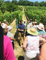 Gut behütet verfolgen die Weingärtnerinnen die Ausführungen zum Rebschnitt.