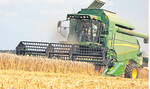 Die Mähdrescher sind in den höheren Lagen im Süden und in Norddeutschland noch voll im Einsatz. Das Ertragsniveau insgesamt bleibt dieses Jahr wohl deutlich hinter dem Vorjahr zurück.