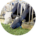 Foto: Klinikum der LMU