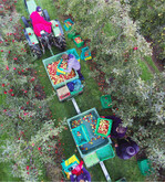 EU-weit wird mit einer guten Apfelernte gerechnet, was für die Vermarktung eine Herausforderung wird.