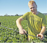 Je nach Tiefe der Bodenkrume und Dicke des Verdichtungshorizonts – letzteres zeigt Martin Ebert an der Bodensonde mit der linken Hand – entscheidet Ebert, wie tief er lockern muss.
